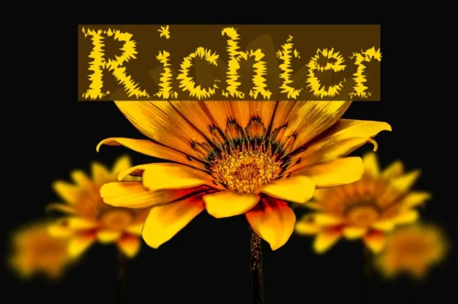 Richter Example 2