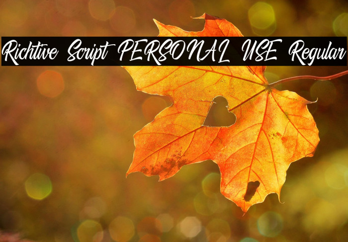 Richtive Script PERSONAL USE Regular Example 1