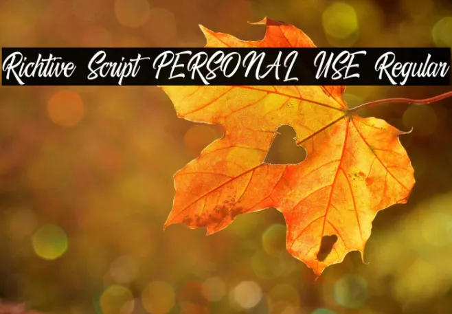 Richtive Script PERSONAL USE Regular Example 1