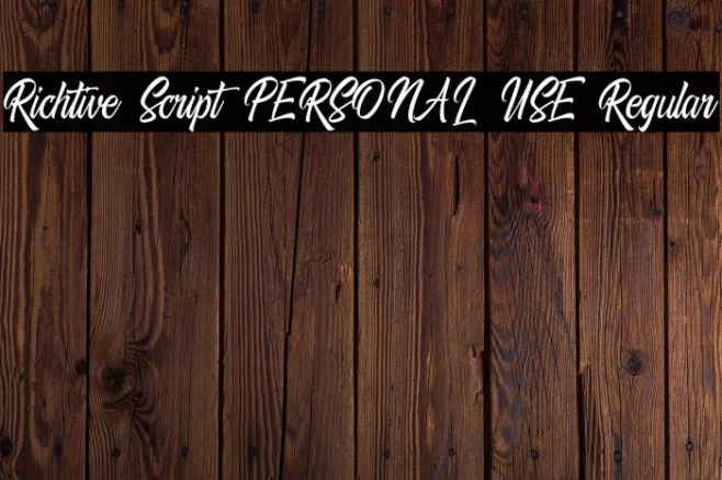 Richtive Script PERSONAL USE Regular Example 2