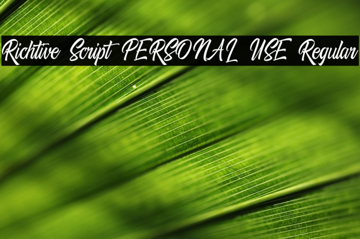 Richtive Script PERSONAL USE Regular Example 3