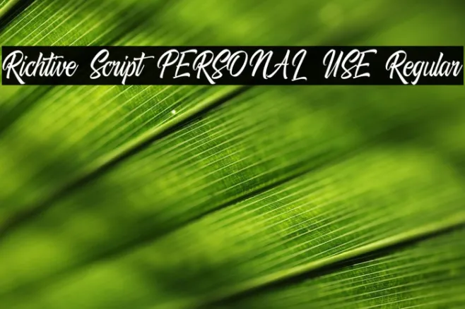 Richtive Script PERSONAL USE Regular Example 3