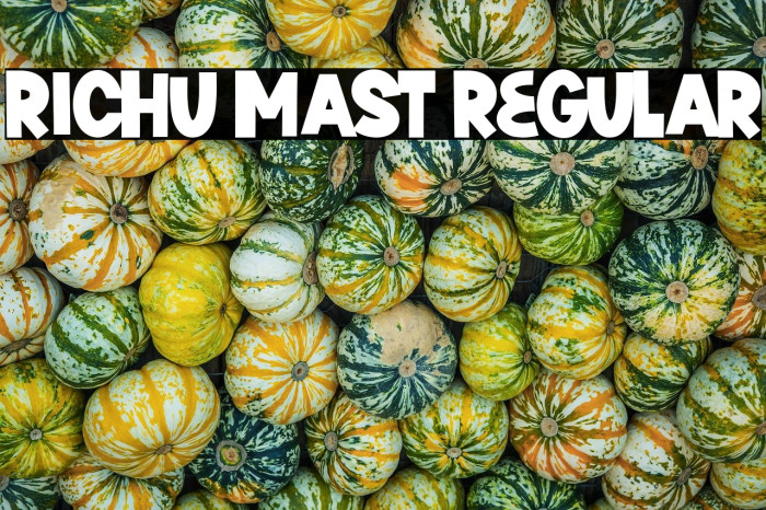 Richu Mast Regular Example 1