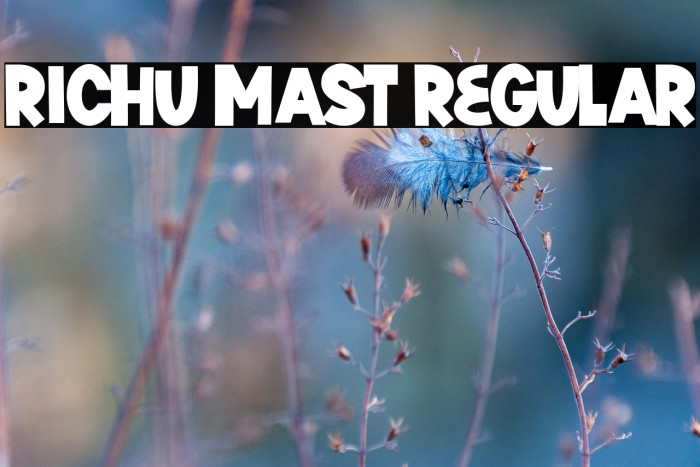 Richu Mast Regular Example 3