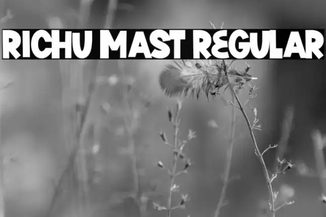 Richu Mast Regular Font examples
