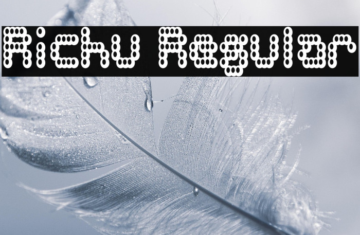 Richu Regular Example 1