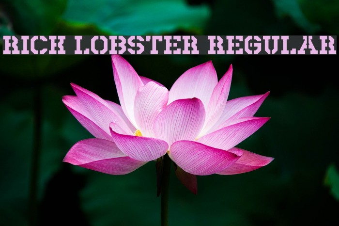 Rick Lobster Regular Font examples