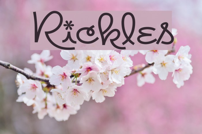 Rickles Font examples