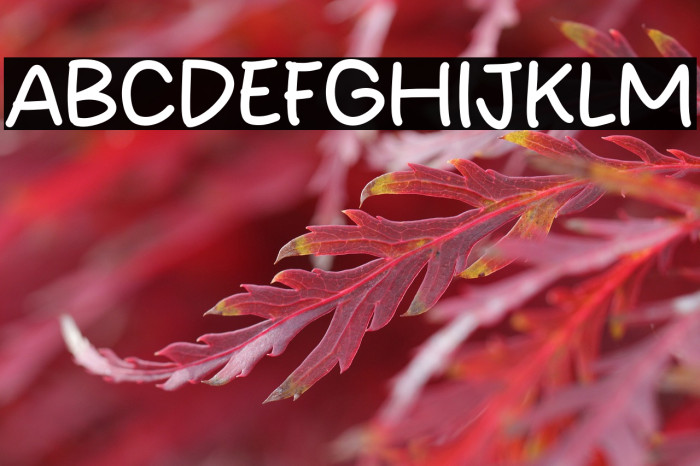 Ricko Brush फ़ॉन्ट examples