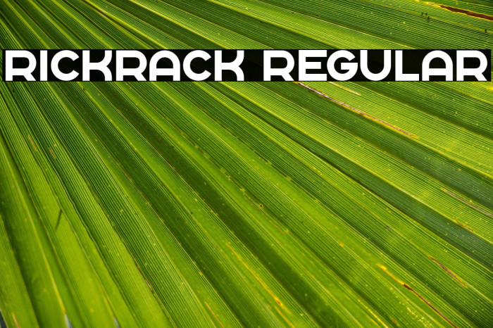 Rickrack Regular Example 2