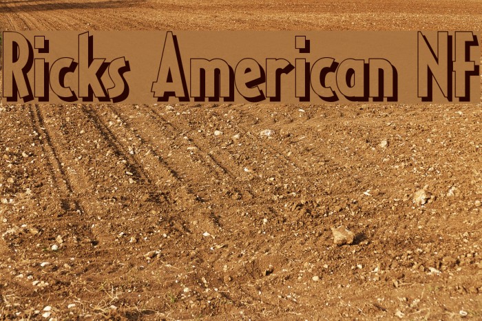 Ricks American NF Font examples