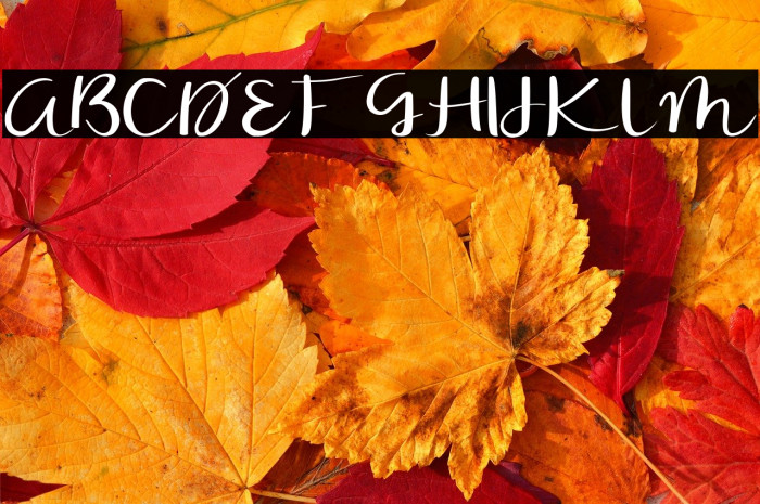 Ricky Bomb Example 2