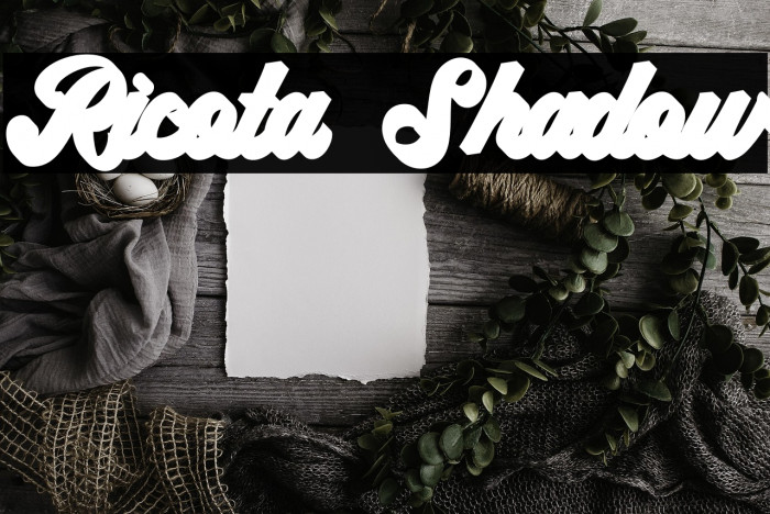 Ricota Shadow Example 2