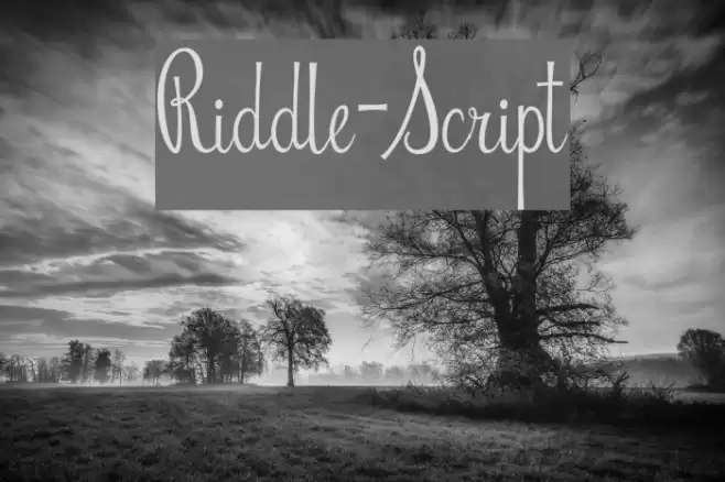 Riddle-Script Schriftart examples