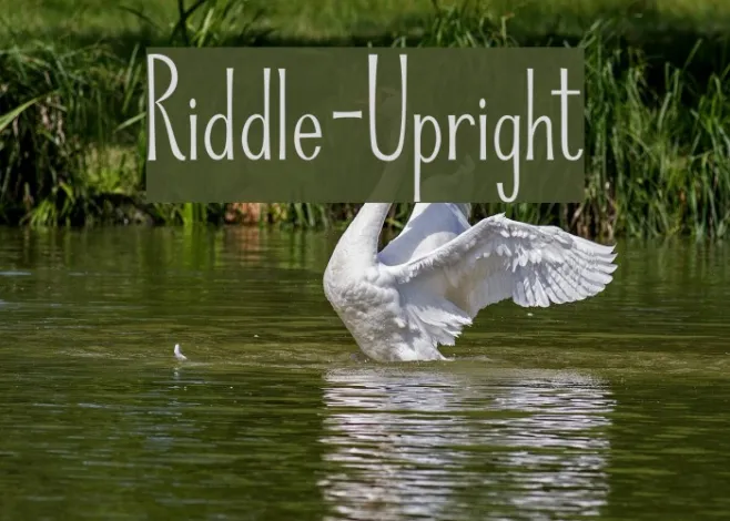 Riddle-Upright Example 2