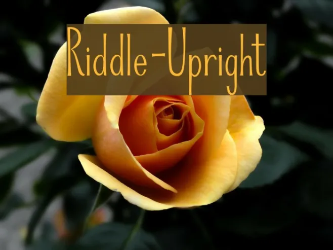 Riddle-Upright Example 3