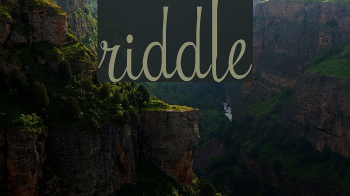 Riddle Font examples