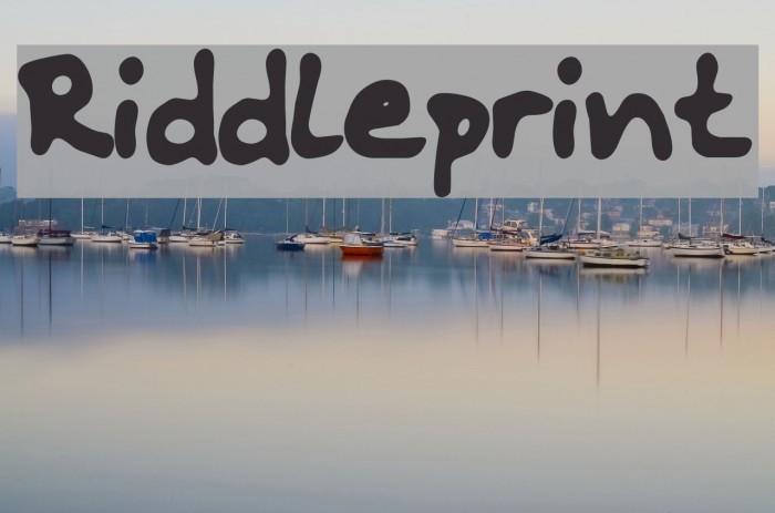 Riddleprint Font examples