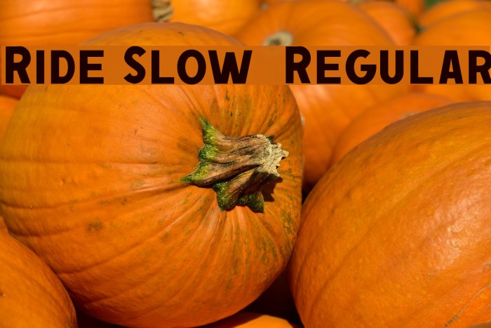 Ride Slow DEMO Regular Font examples