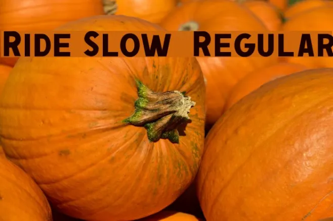 Ride Slow DEMO Regular Example 1