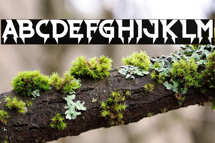 Ride The Lightning Bold Example 1