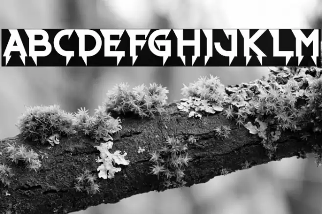 Ride The Lightning Bold Font examples