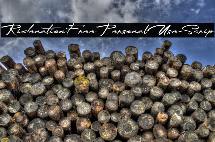 RidenationFreePersonalUse-Scrip Example 1