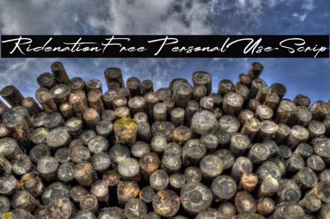 RidenationFreePersonalUse-Scrip Example 1