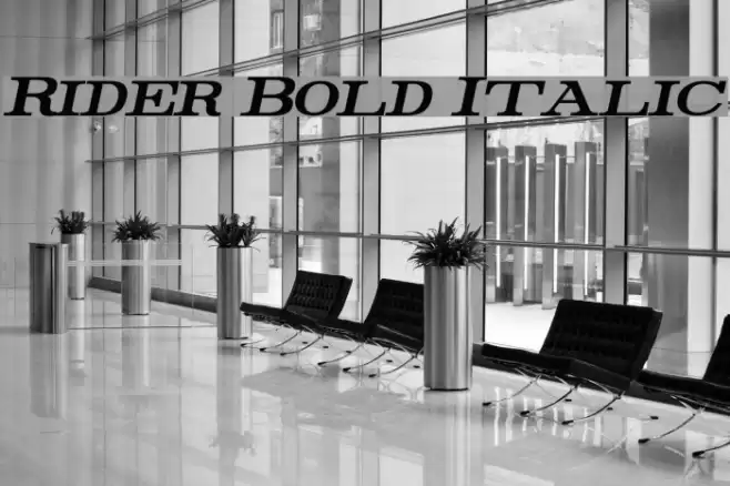 Rider Bold Italic Font examples