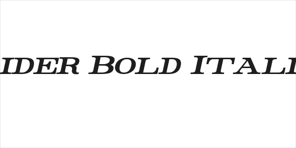 Rider Bold Italic Logo