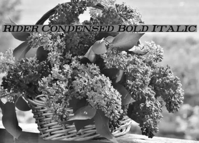 Rider Condensed Bold Italic Font examples