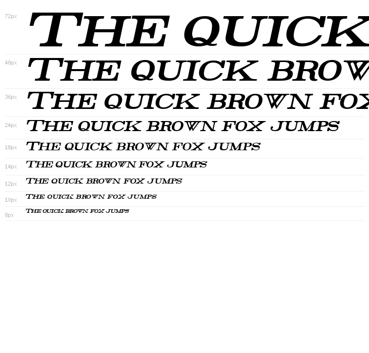 Rider Condensed Bold Italic Waterfall