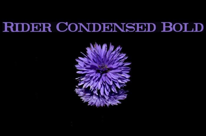 Rider Condensed Bold Font examples
