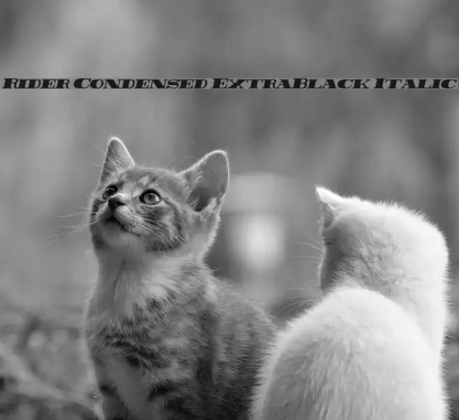 Rider Condensed ExtraBlack Italic Font examples