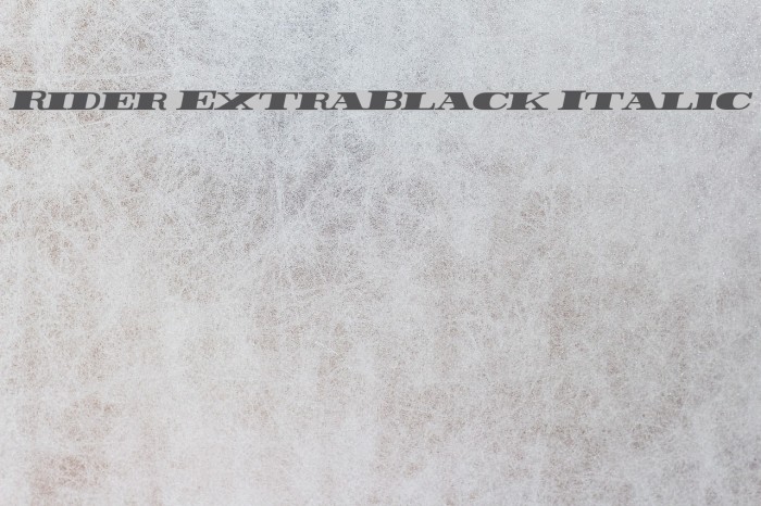 Rider ExtraBlack Italic Font examples
