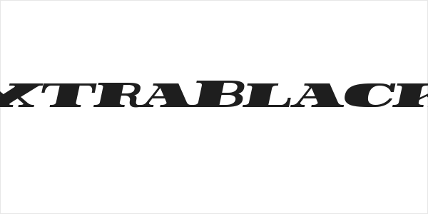 Rider ExtraBlack Italic Logo