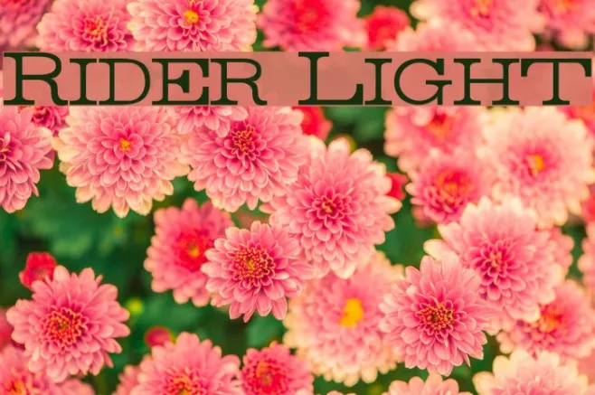 Rider Light Example 2
