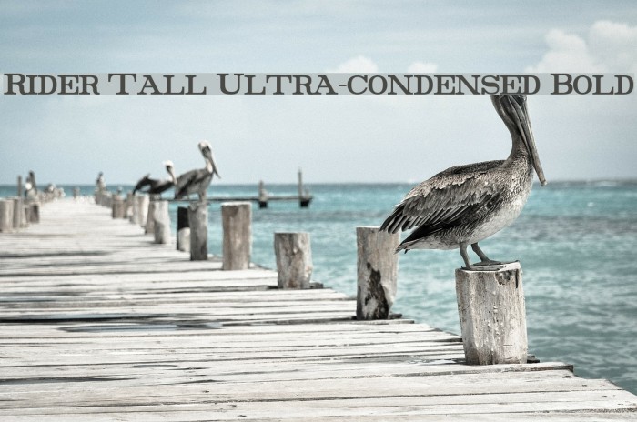 Rider Tall Ultra-condensed Bold Font examples