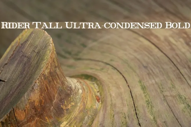 Rider Tall Ultra-condensed Bold Example 3