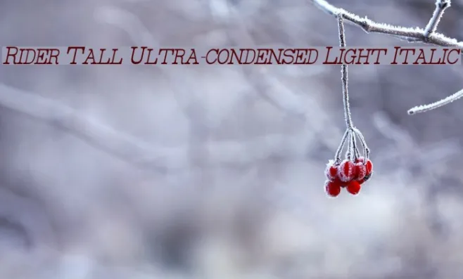 Rider Tall Ultra-condensed Light Italic Example 2