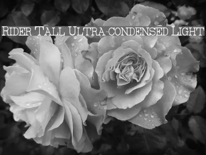 Rider Tall Ultra-condensed Light Font examples