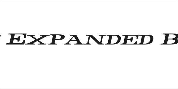 Rider Wide Expanded Bold Italic Logo