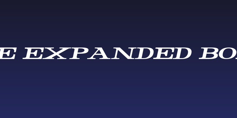 Rider Wide Expanded Bold Italic Social Header