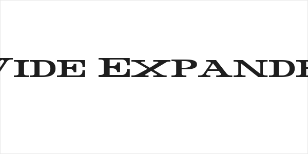 Rider Wide Expanded Bold Logo