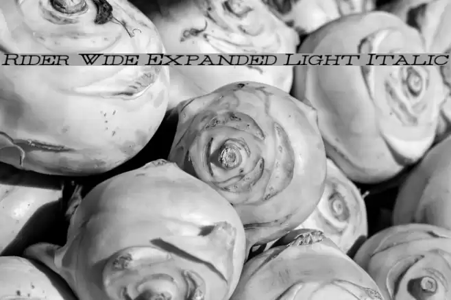Rider Wide Expanded Light Italic Font examples