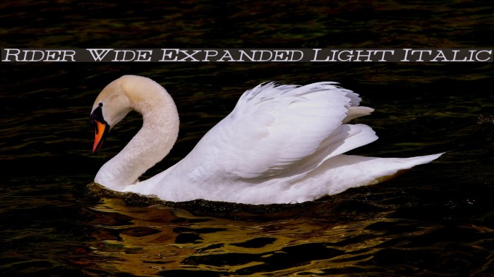 Rider Wide Expanded Light Italic Example 3