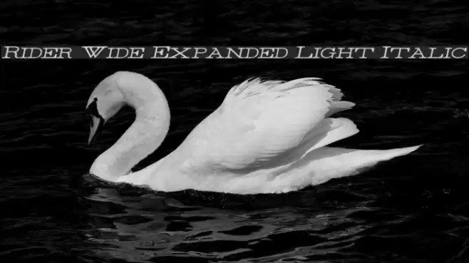 Rider Wide Expanded Light Italic Font examples