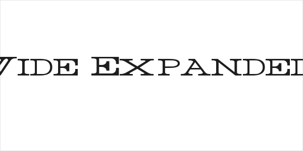 Rider Wide Expanded Light Logo