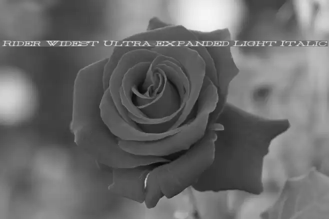 Rider Widest Ultra-expanded Light Italic Font examples