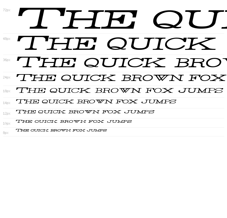 Rider Widest Ultra-expanded Light Italic Waterfall